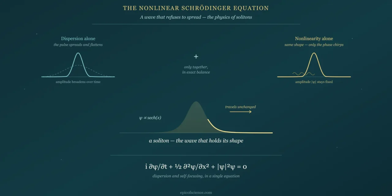 The Nonlinear Schrödinger Equation — How a Wave Learns to Hold Its Shape