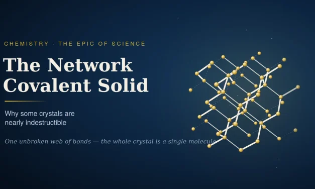The Network Covalent Solid — Why Some Crystals Are Nearly Indestructible